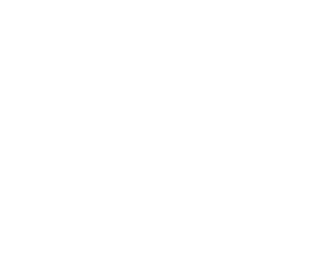 Blink logo white