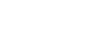 The Lee Group logo