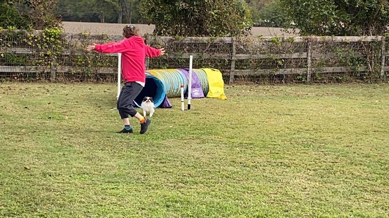 Vicki celebrating Romeo's qualifying run in a NADAC agility trial at Family Dog Club